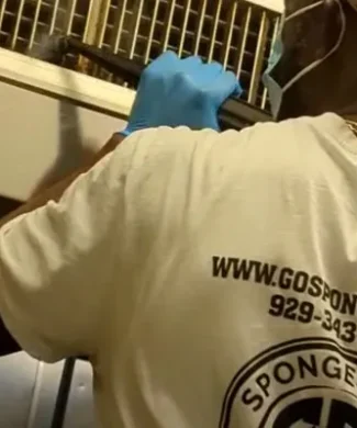 medical office cleaning nyc